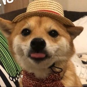 Meet your Posher, Micaela